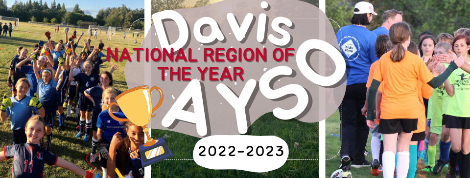 National Region of the Year