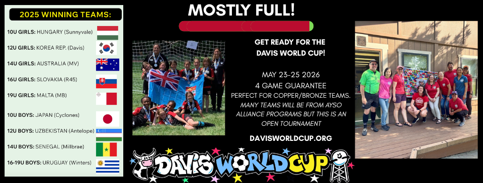 World Cup Tournament